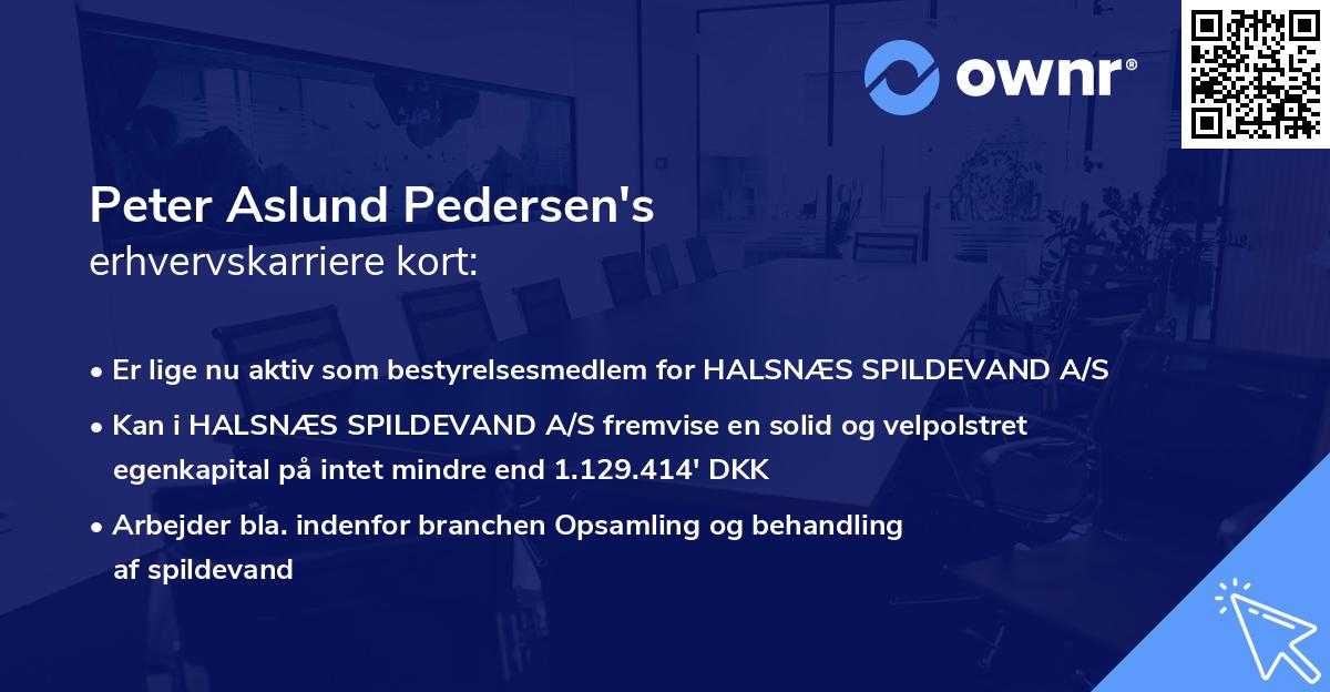 Peter Aslund Pedersen's erhvervskarriere kort