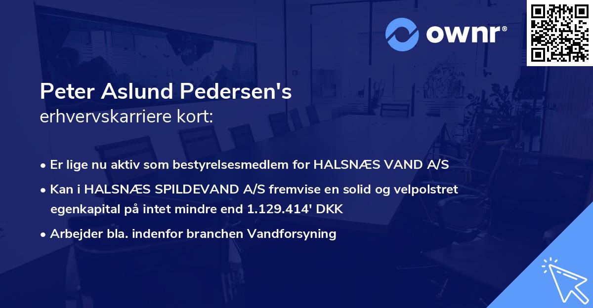 Peter Aslund Pedersen's erhvervskarriere kort