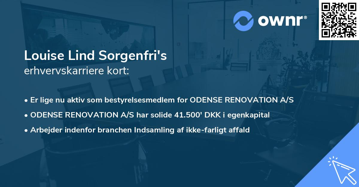 Louise Lind Sorgenfri's erhvervskarriere kort