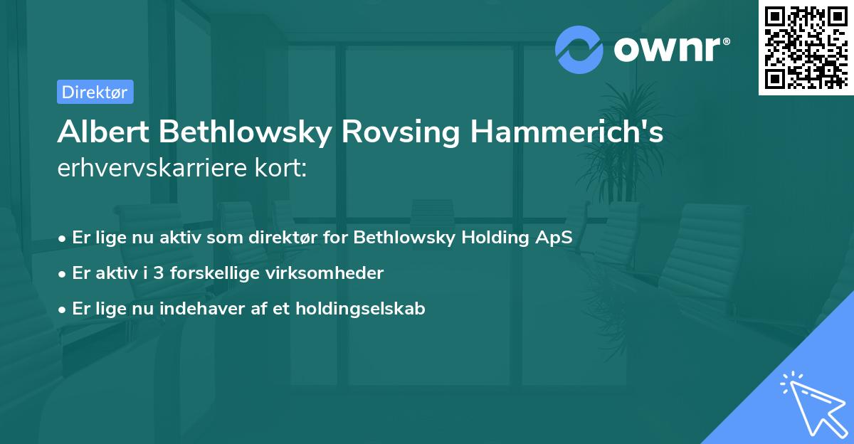 Albert Bethlowsky Rovsing Hammerich's erhvervskarriere kort