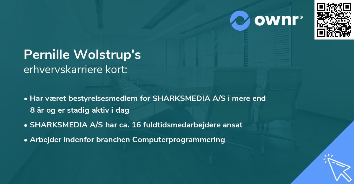 Pernille Wolstrup's erhvervskarriere kort