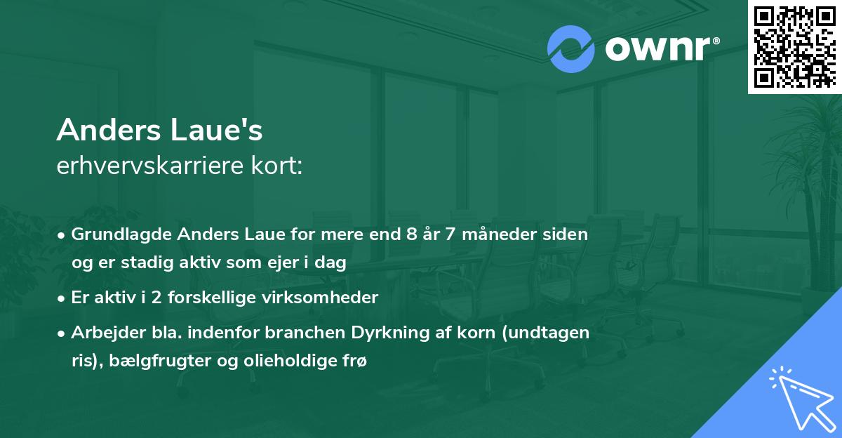 Anders Laue's erhvervskarriere kort