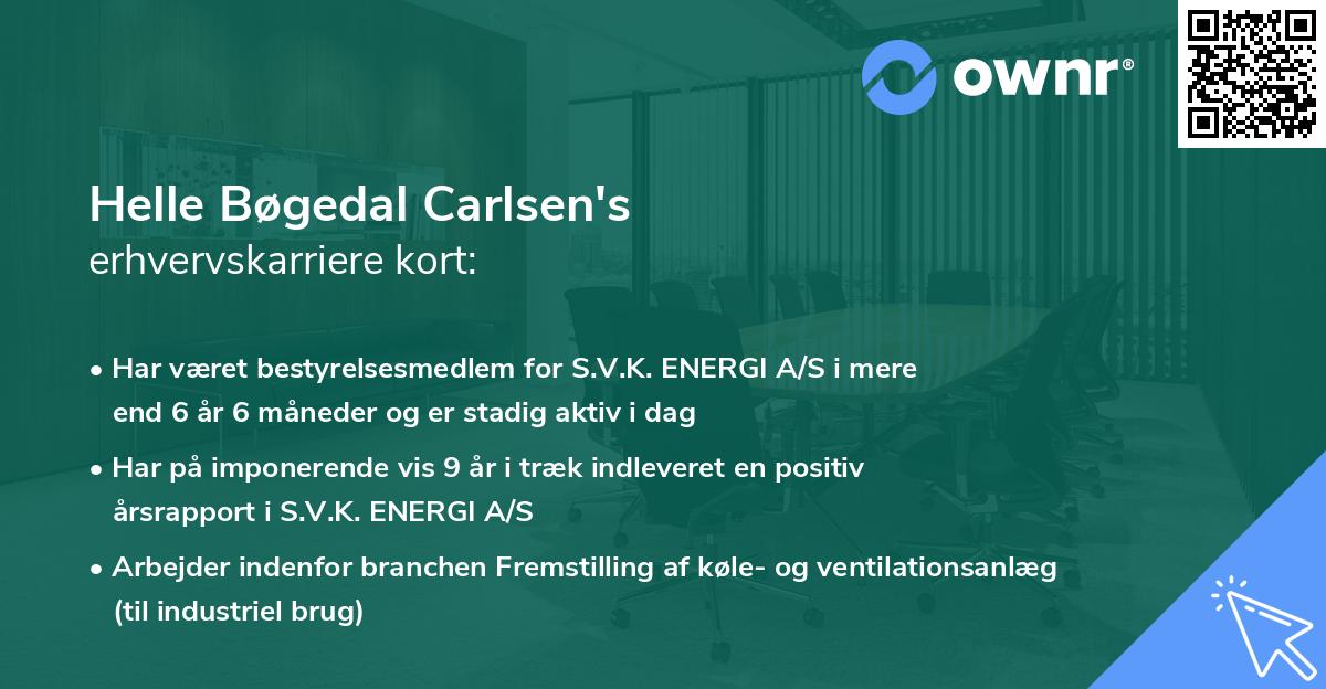 Helle Bøgedal Carlsen's erhvervskarriere kort