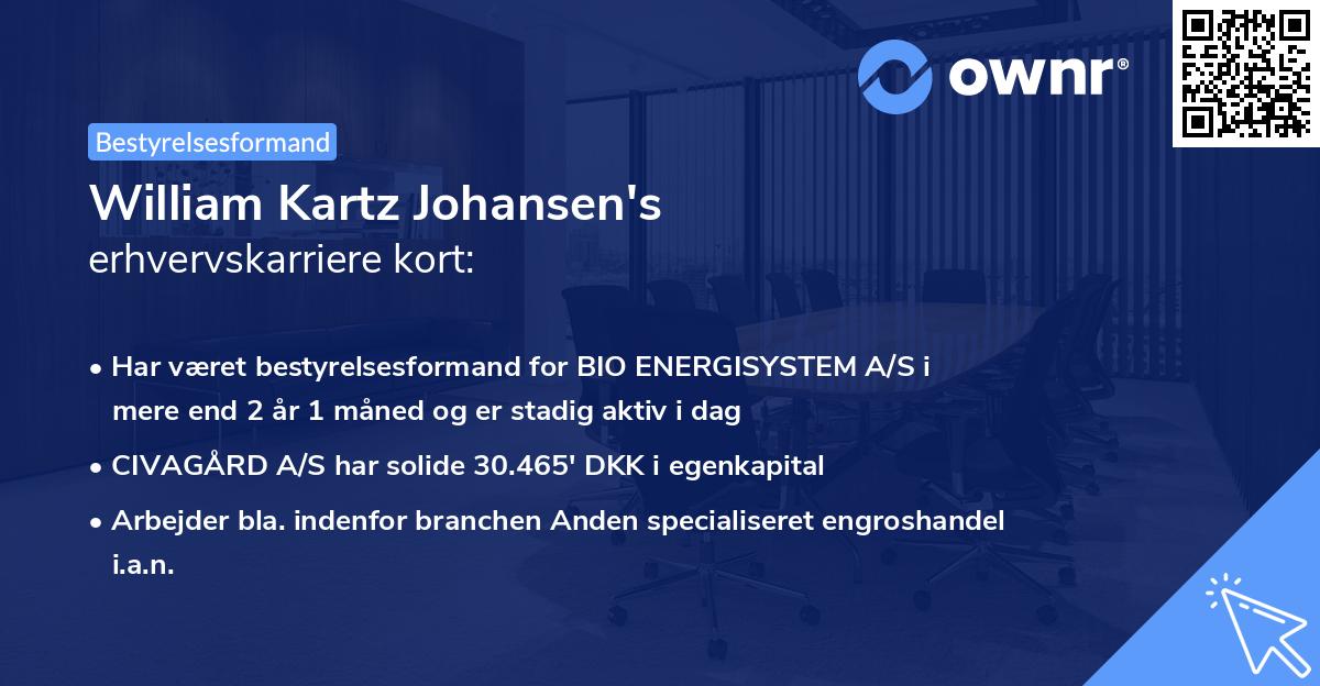 William Kartz Johansen's erhvervskarriere kort