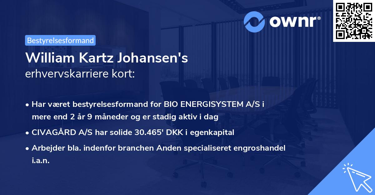 William Kartz Johansen's erhvervskarriere kort