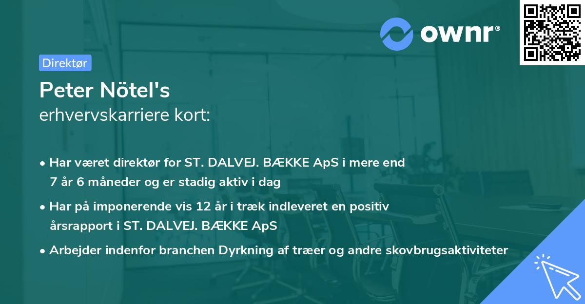 Peter Nötel's erhvervskarriere kort