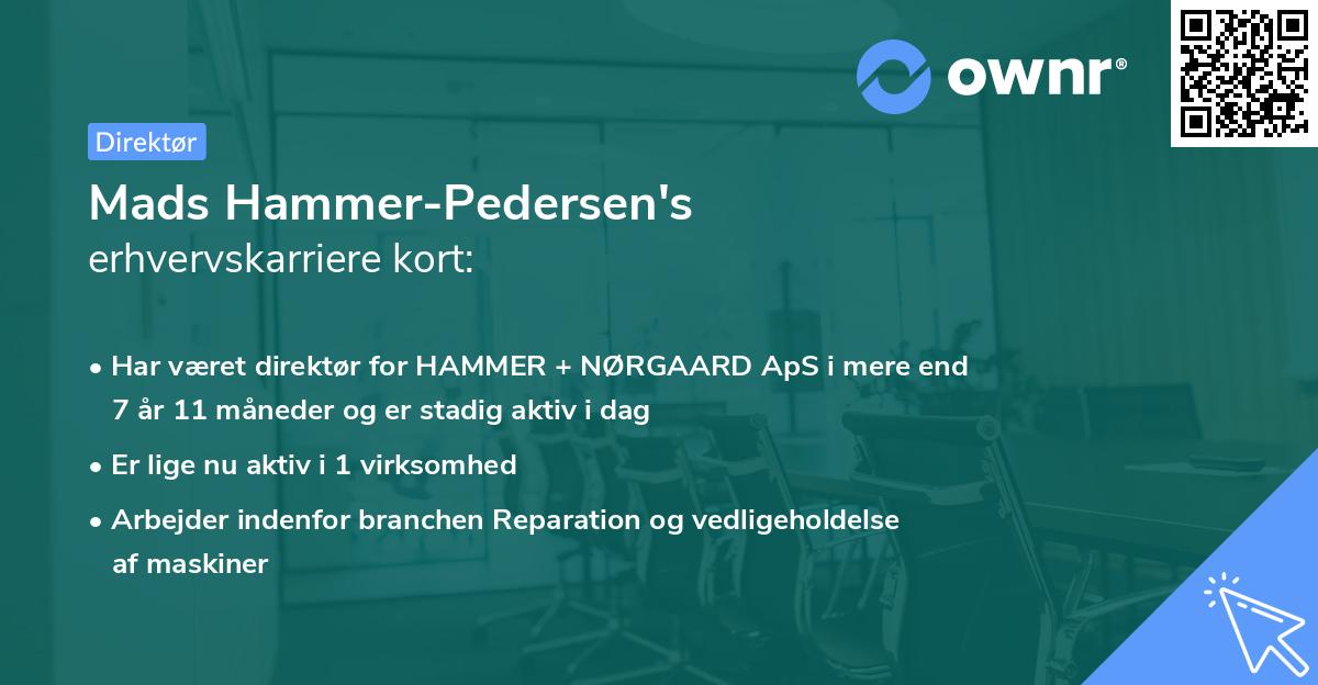 Mads Hammer-Pedersen's erhvervskarriere kort