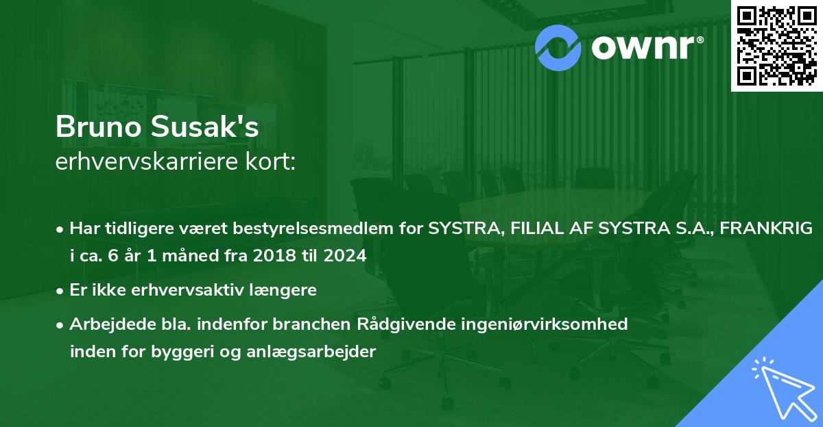 Bruno Susak's erhvervskarriere kort