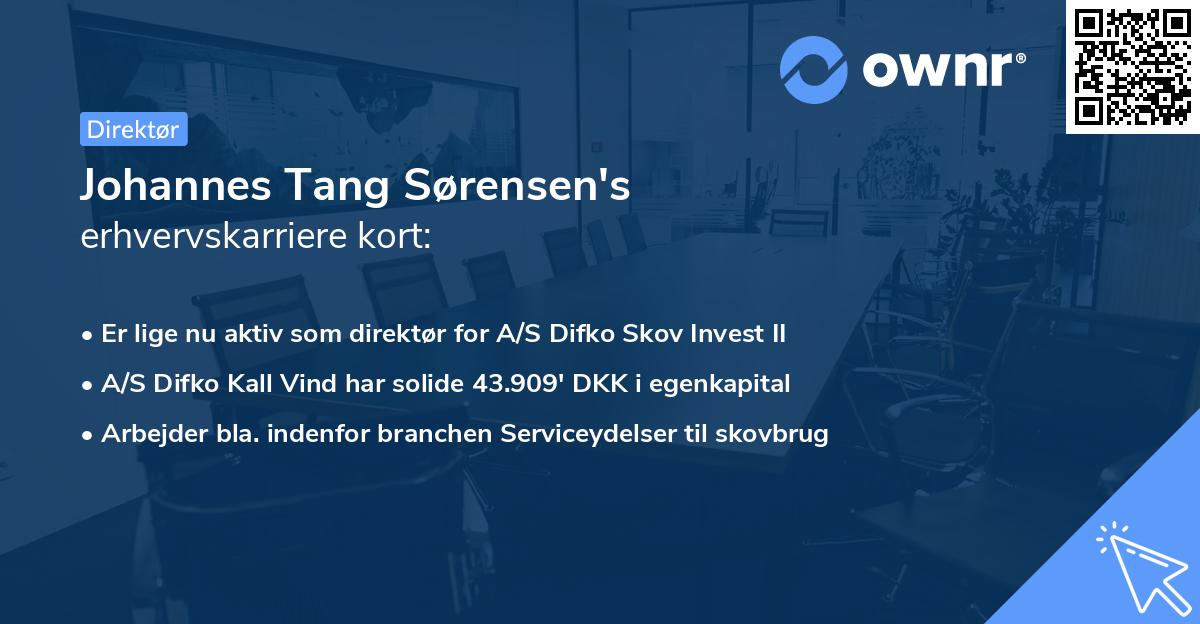 Johannes Tang Sørensen's erhvervskarriere kort