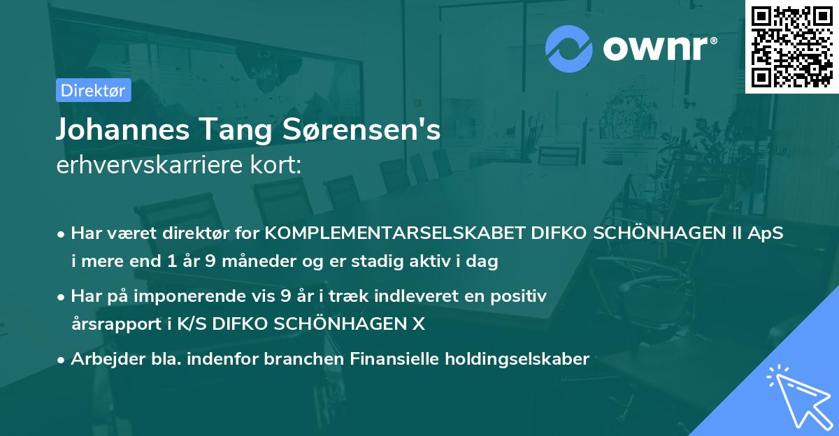 Johannes Tang Sørensen's erhvervskarriere kort