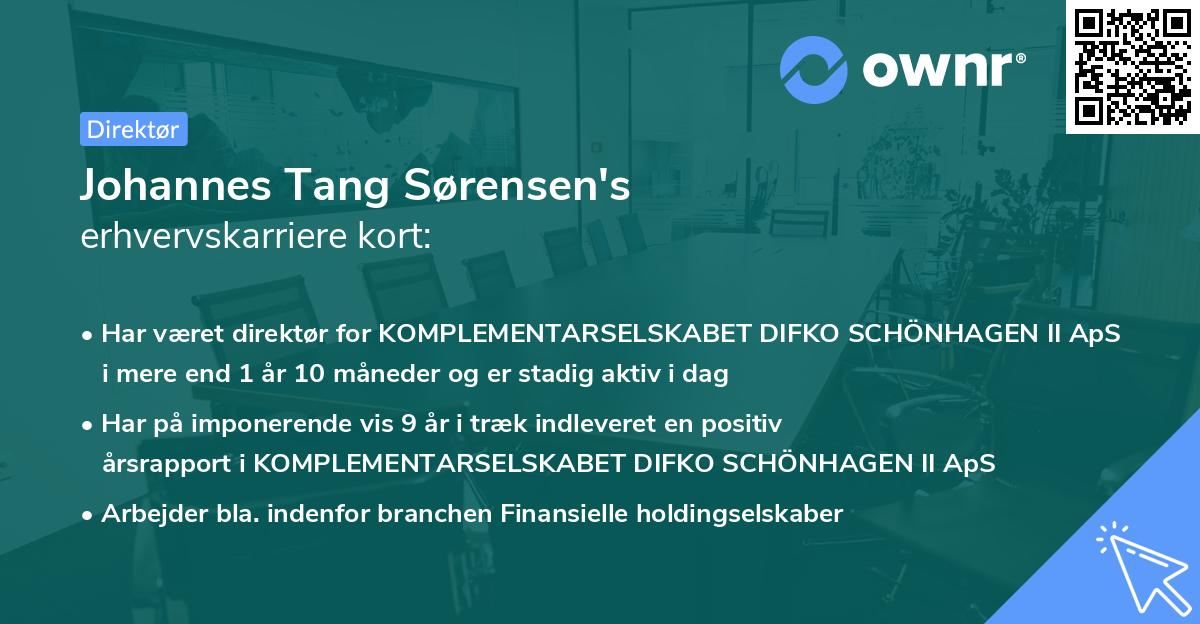 Johannes Tang Sørensen's erhvervskarriere kort