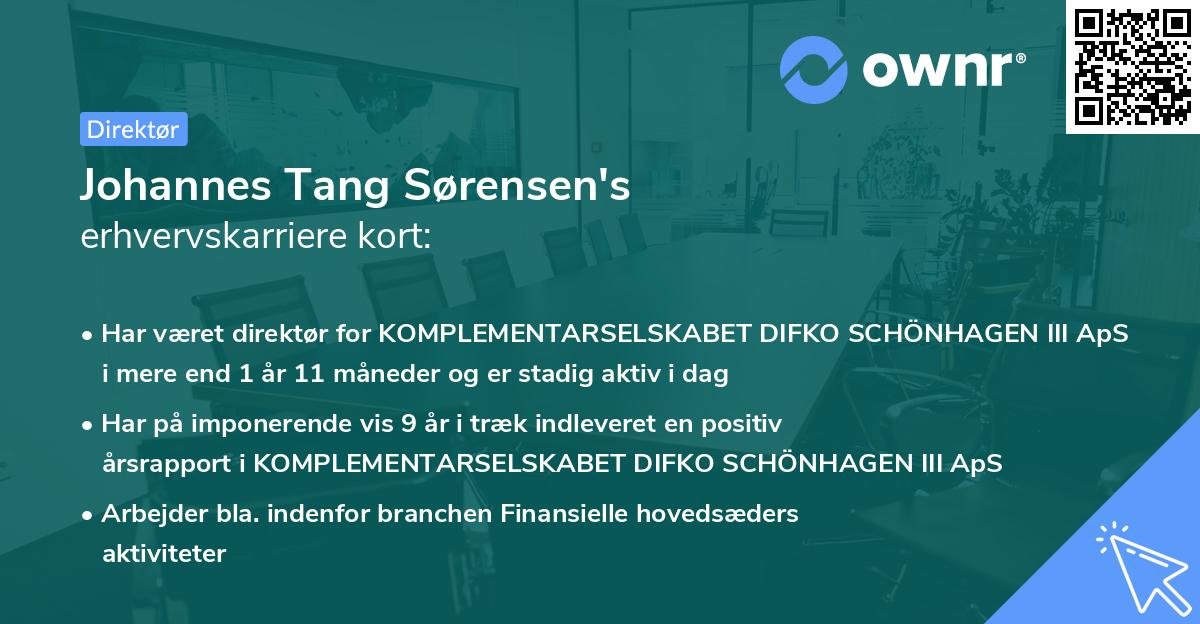 Johannes Tang Sørensen's erhvervskarriere kort
