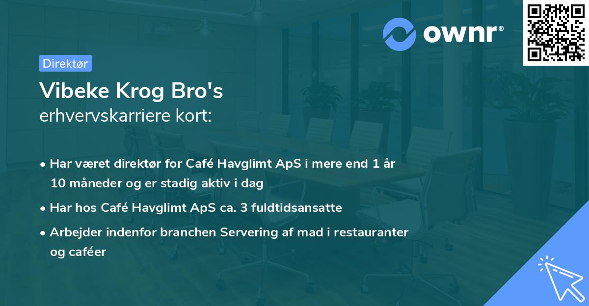 Vibeke Krog Bro's erhvervskarriere kort