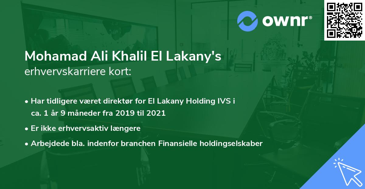 Mohamad Ali Khalil El Lakany's erhvervskarriere kort