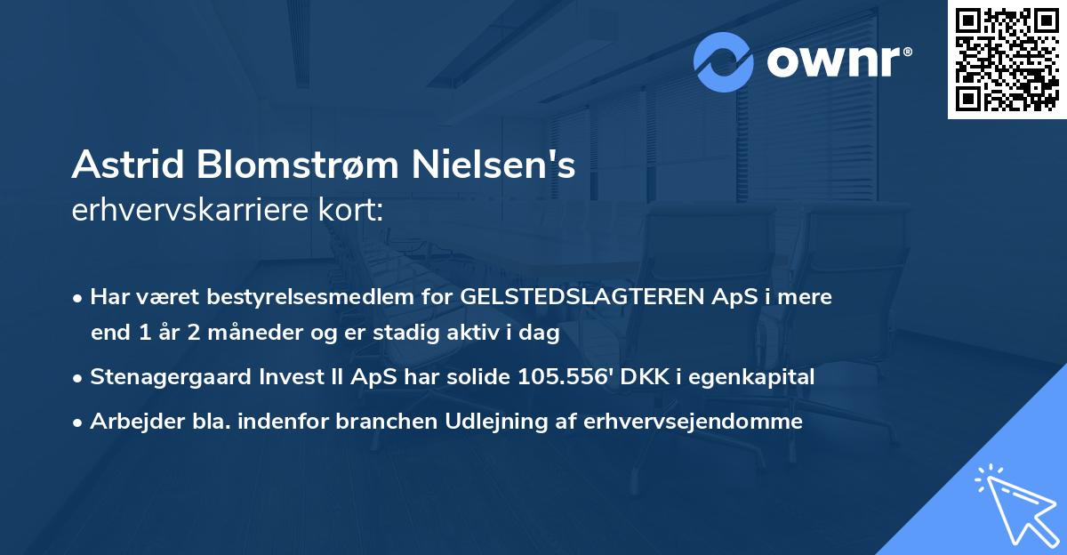 Astrid Blomstrøm Nielsen's erhvervskarriere kort