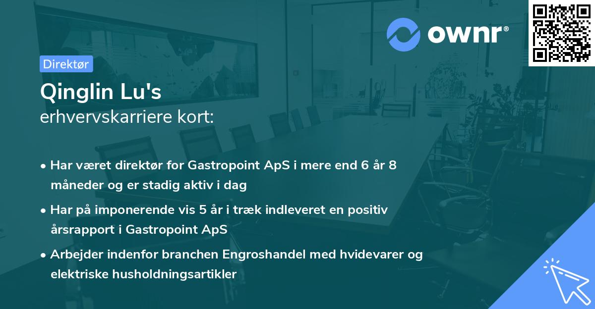 Qinglin Lu's erhvervskarriere kort