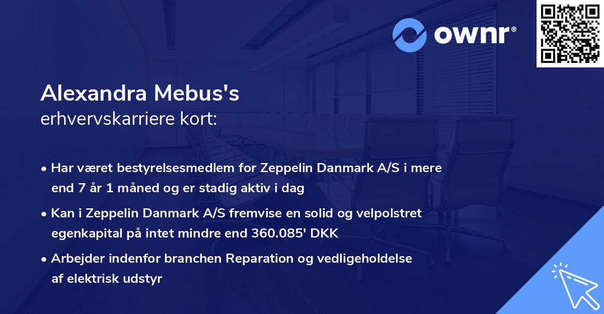 Alexandra Mebus's erhvervskarriere kort