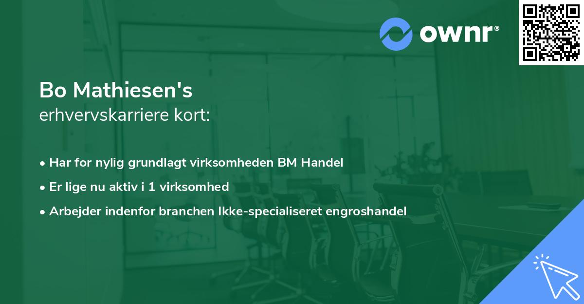 Bo Mathiesen's erhvervskarriere kort