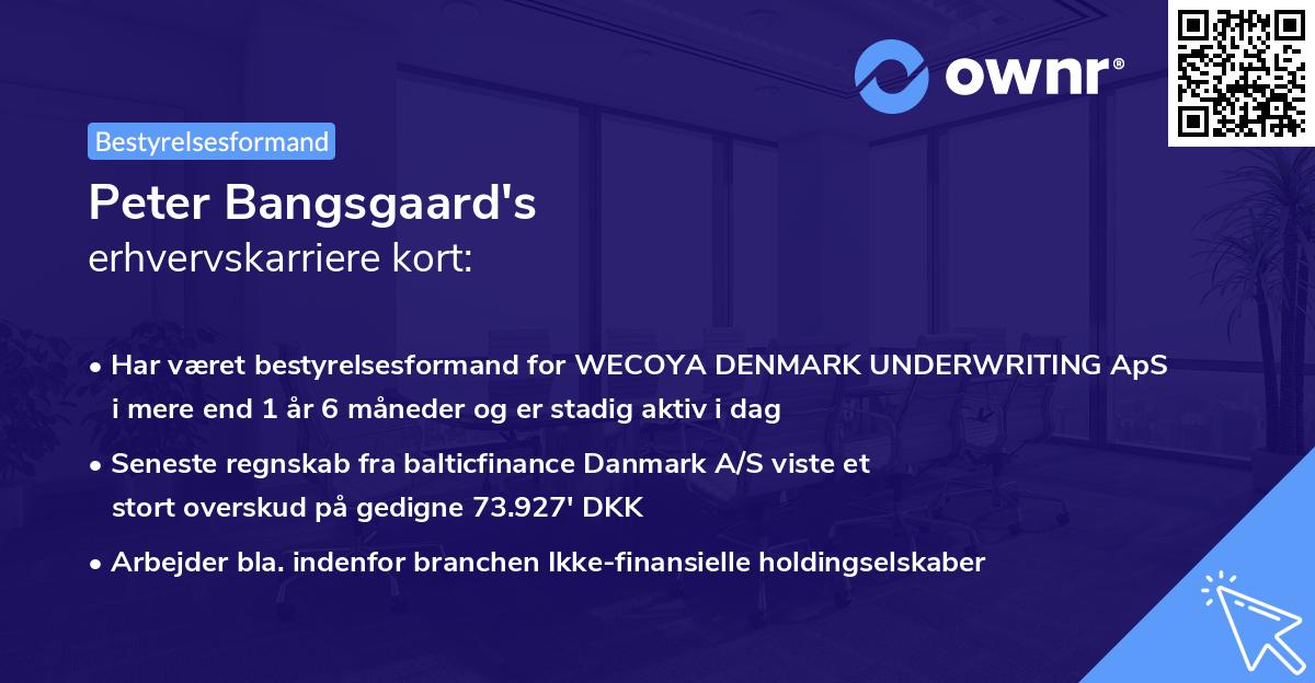 Peter Bangsgaard's erhvervskarriere kort