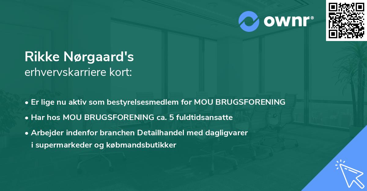 Rikke Nørgaard's erhvervskarriere kort