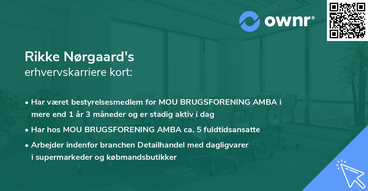 Rikke Nørgaard's erhvervskarriere kort