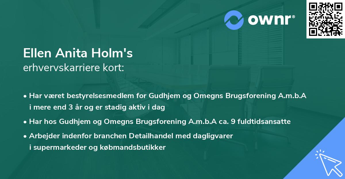 Ellen Anita Holm's erhvervskarriere kort