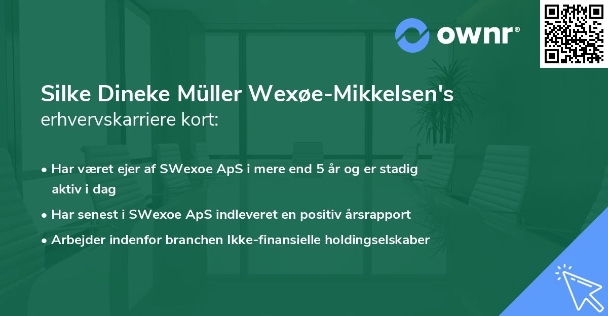 Silke Dineke Müller Wexøe-Mikkelsen's erhvervskarriere kort