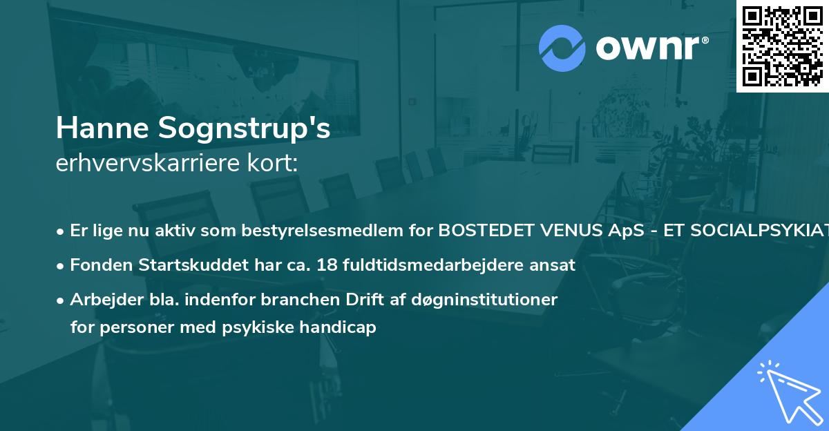 Hanne Sognstrup's erhvervskarriere kort
