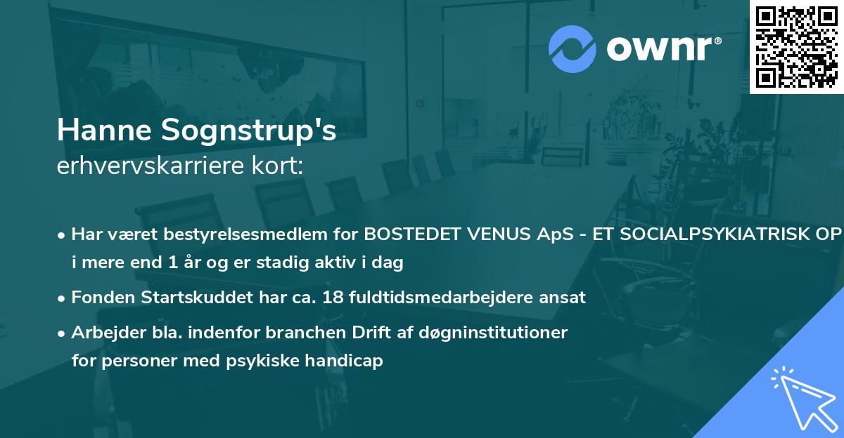 Hanne Sognstrup's erhvervskarriere kort