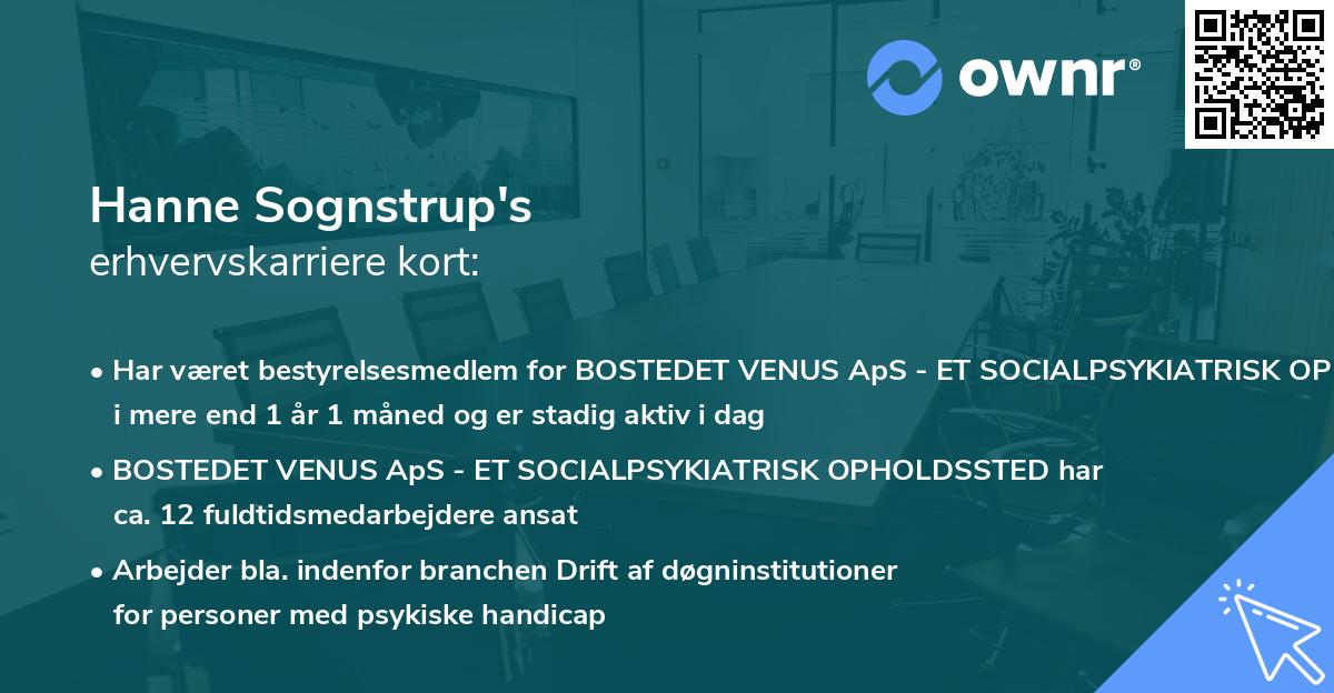 Hanne Sognstrup's erhvervskarriere kort