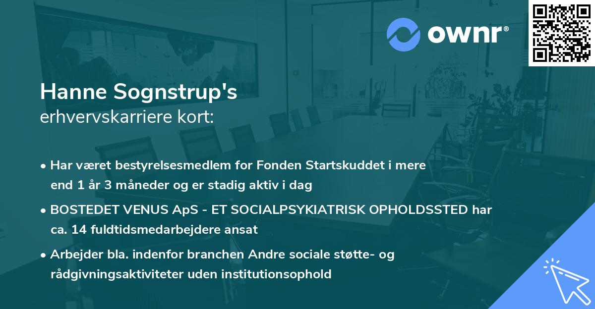 Hanne Sognstrup's erhvervskarriere kort