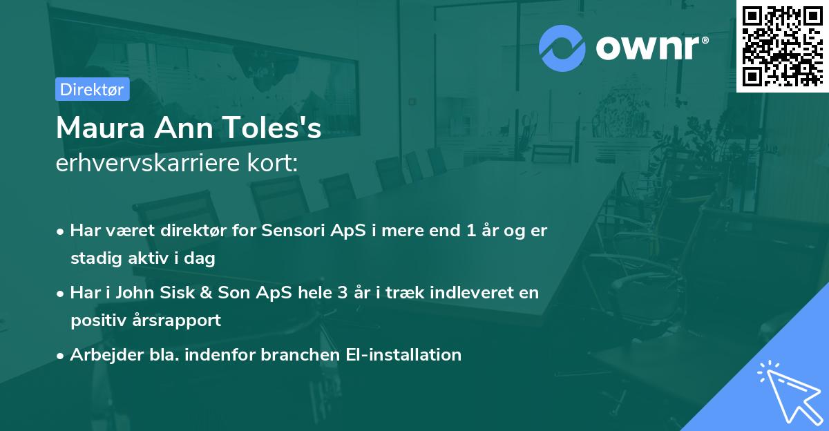 Maura Ann Toles's erhvervskarriere kort