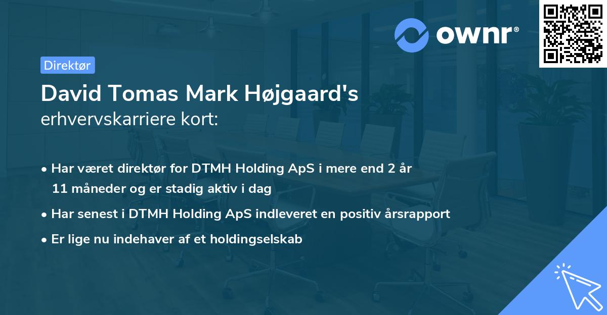 David Tomas Mark Højgaard's erhvervskarriere kort