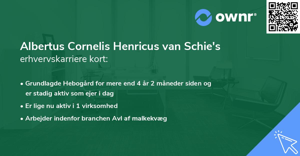 Albertus Cornelis Henricus van Schie's erhvervskarriere kort