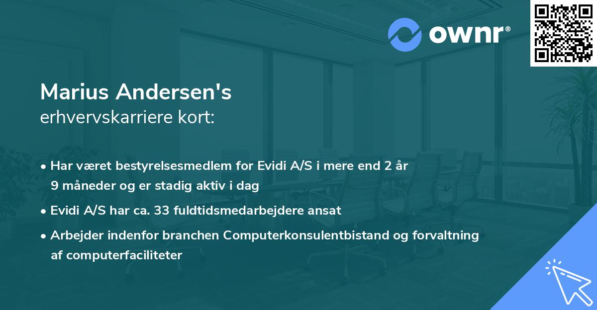 Marius Andersen's erhvervskarriere kort