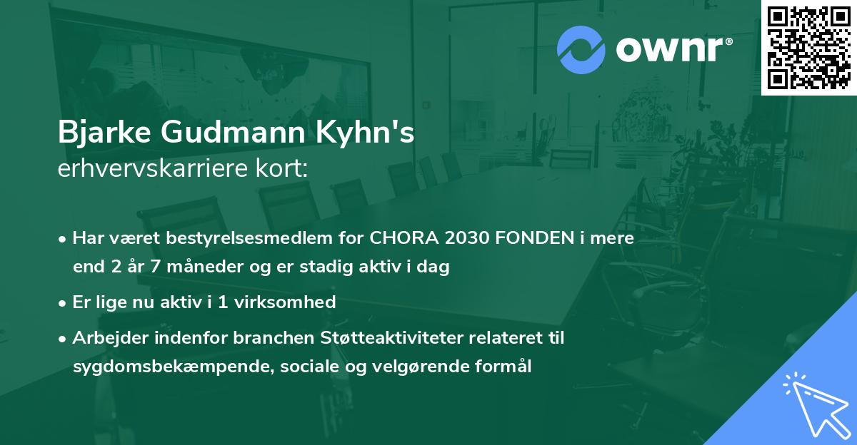 Bjarke Gudmann Kyhn's erhvervskarriere kort