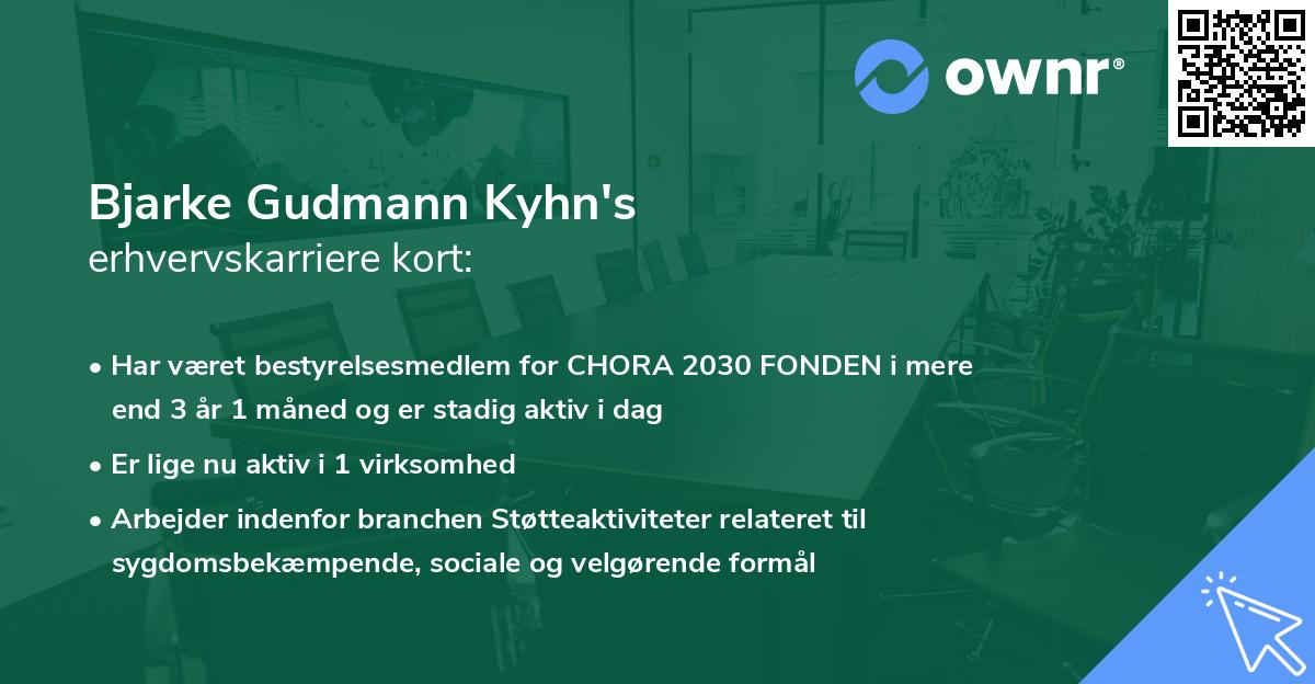 Bjarke Gudmann Kyhn's erhvervskarriere kort