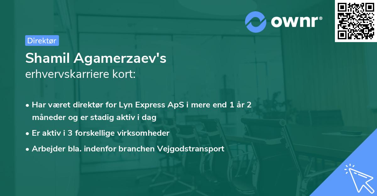 Shamil Agamerzaev's erhvervskarriere kort