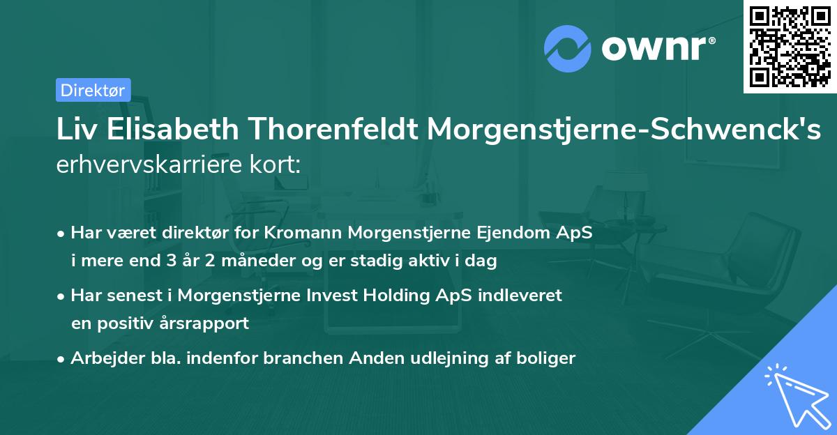 Liv Elisabeth Thorenfeldt Morgenstjerne-Schwenck's erhvervskarriere kort