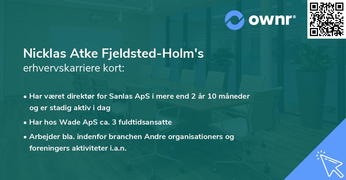 Nicklas Atke Fjeldsted-Holm's erhvervskarriere kort