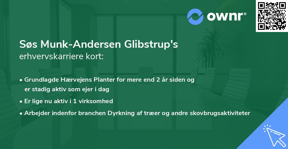 Søs Munk-Andersen Glibstrup's erhvervskarriere kort