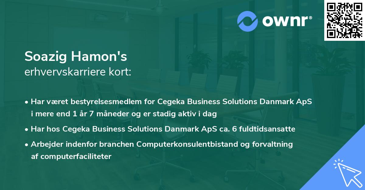 Soazig Hamon's erhvervskarriere kort