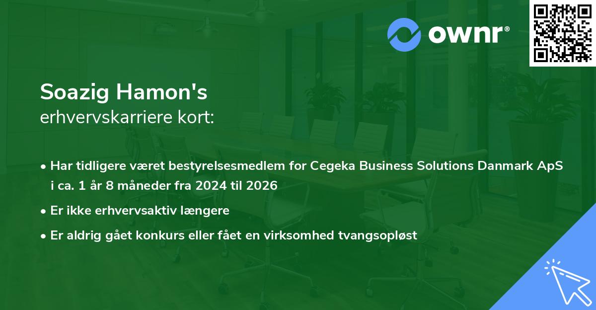 Soazig Hamon's erhvervskarriere kort