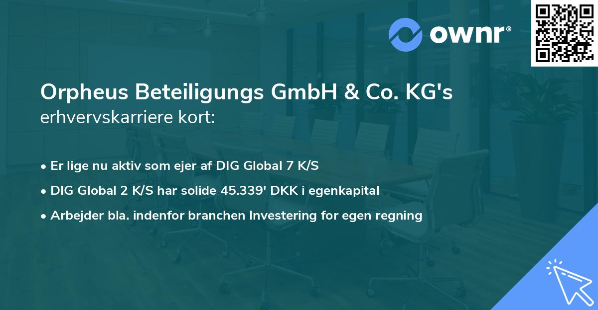 Orpheus Beteiligungs GmbH & Co. KG's erhvervskarriere kort