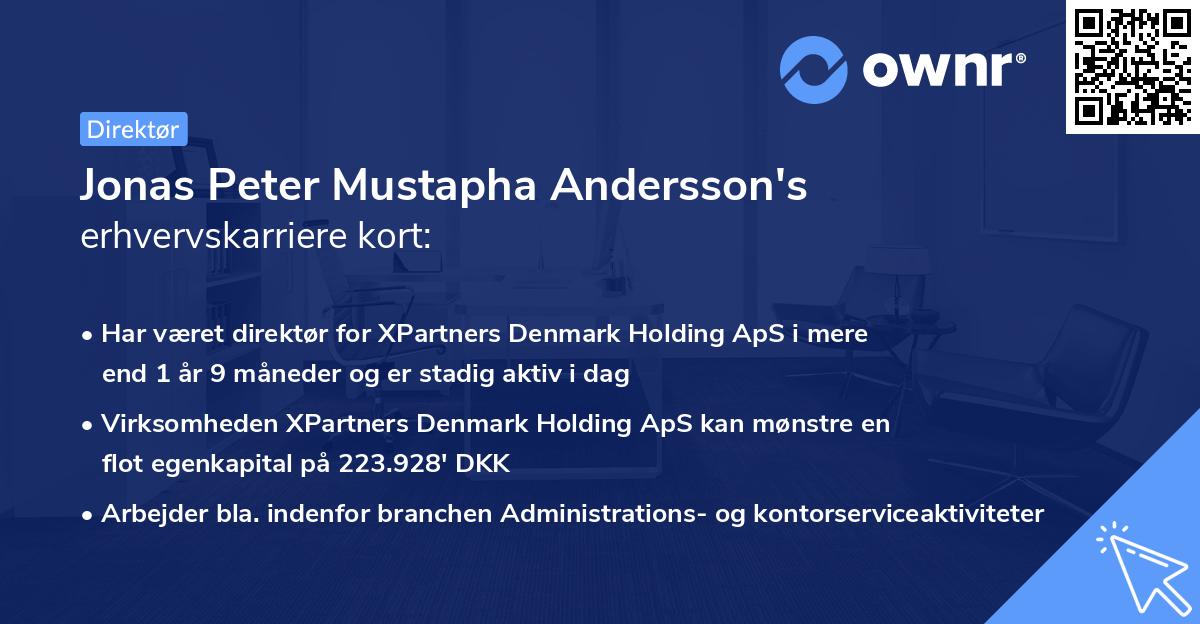 Jonas Peter Mustapha Andersson's erhvervskarriere kort