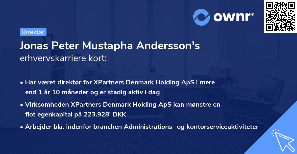 Jonas Peter Mustapha Andersson's erhvervskarriere kort