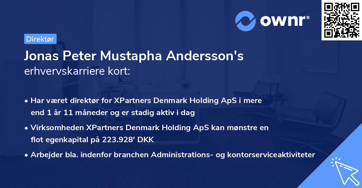 Jonas Peter Mustapha Andersson's erhvervskarriere kort