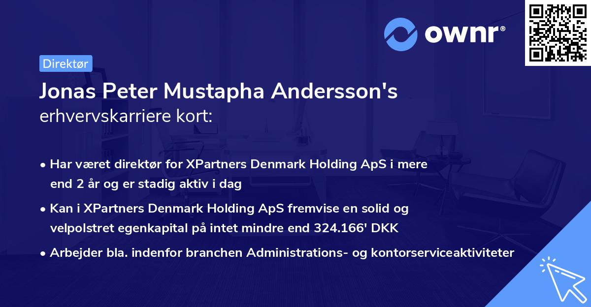 Jonas Peter Mustapha Andersson's erhvervskarriere kort
