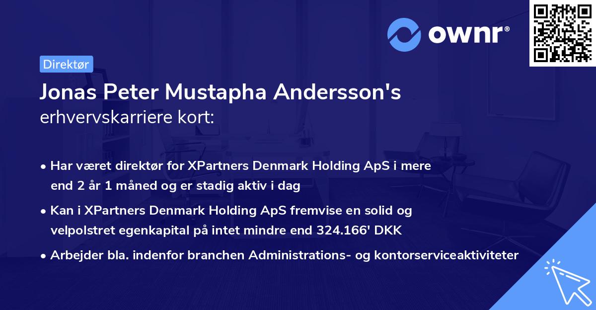 Jonas Peter Mustapha Andersson's erhvervskarriere kort