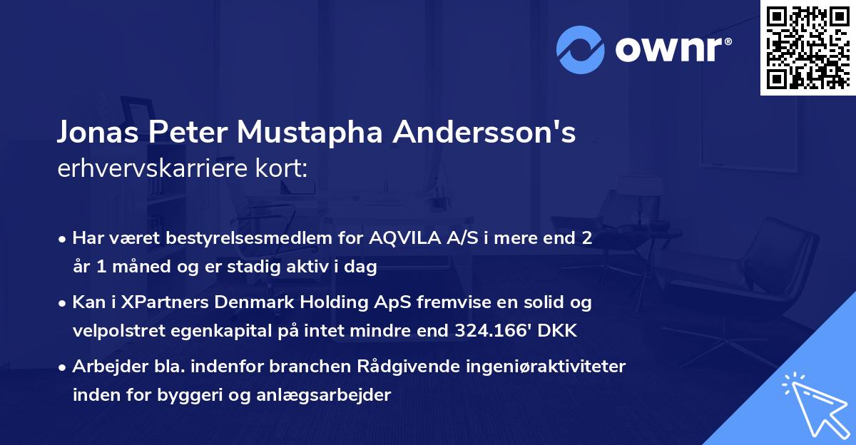 Jonas Peter Mustapha Andersson's erhvervskarriere kort